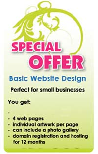 shrine-web-solutions-offer